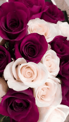 a bunch of purple and white roses are in a vase