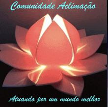 a glowing lotus flower with the words comunidade aclimacao atuando por um mundo melhor below it