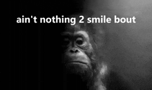 a black and white photo of a gorilla with the words " ain 't nothing 2 smile bout " above it