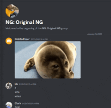 a screenshot of a discord group with a seal on it