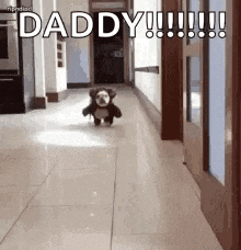 a teddy bear is walking down a hallway and says `` daddy '' .