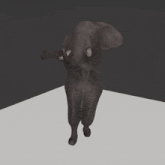 a black and white photo of an elephant with its trunk in the air