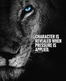 a black and white photo of a lion with blue eyes and a quote about character is revealed when pressure is applied .