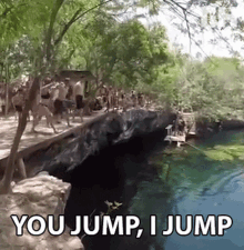 a group of people are standing on a bridge over a body of water with the words `` you jump , i jump '' above them .