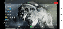 a computer screen with a wolf on it and the word zoom on the top