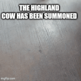 the highland cow has been summoned is written on a wooden surface
