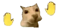 a cat is surrounded by two yellow hands .