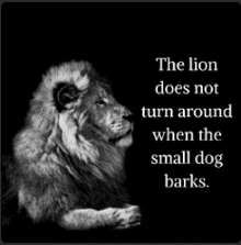 a black and white photo of a lion with a quote