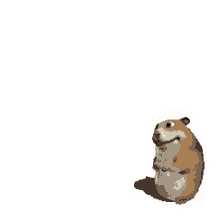 a hamster is standing up on its hind legs and smiling .