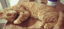 a cat is laying on a wooden table next to a bottle of mat