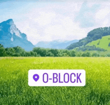 a field with mountains in the background and a purple sticker that says o-block