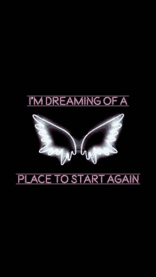 a neon sign of wings with the words `` i 'm dreaming of a place to start again '' on a black background .