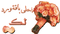 a bunch of orange roses with arabic writing on the bottom