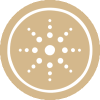 a circle with white dots on it and a white center