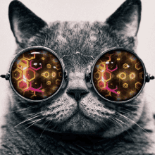 a close up of a cat wearing sunglasses with a geometric pattern on them