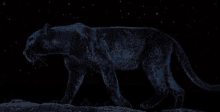 a black panther is walking on a rock at night .