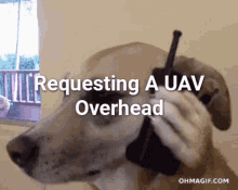 a dog talking on a cell phone with the words requesting a uav overhead