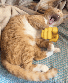 a cat laying on a bed with a fist emoji on it