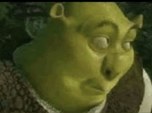 shrek from shrek is making a funny face with his eyes wide open .