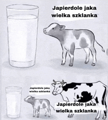 a cow standing next to a glass of milk