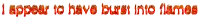 i appear to have burnt into flames in red letters