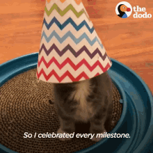 a cat wearing a multicolored party hat says so i celebrated every milestone