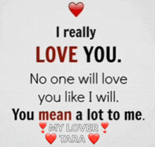 a quote that says i really love you no one will love you like i will you mean a lot to me tara