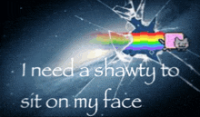 a rainbow cat is flying through a broken glass with the words " i need a shawty to sit on my face " below it