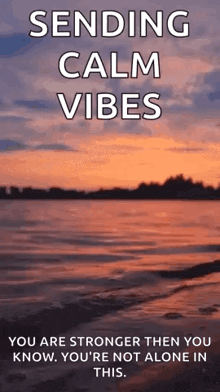 sending calm vibes you are stronger then you know . you 're not alone in this
