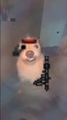 a blurry picture of a dog with a gun