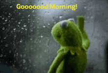 a kermit the frog is standing in front of a window with rain drops and the words good morning