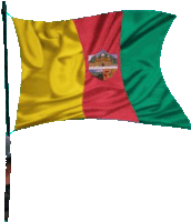 a yellow red and green flag with a shield on it