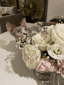 a hairless cat is laying in a vase of flowers