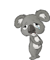 a cartoon koala bear is crying with a tear coming out of his nose