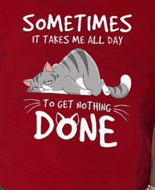 a t-shirt with a cat on it that says sometimes it takes me all day to get nothing done