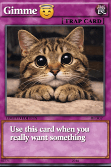 a card that says gimme on it with a picture of a cat