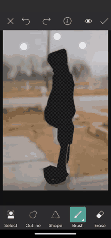 a silhouette of a person is being edited in a photo editing app