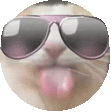 a close up of a cat wearing sunglasses and sticking its tongue out .