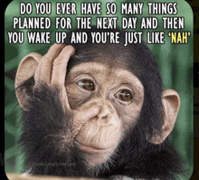 a picture of a chimpanzee with a caption that says do you ever have so many things planned