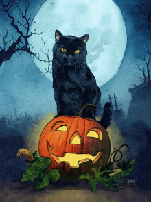 a black cat sitting on top of a carved pumpkin with a full moon in the background