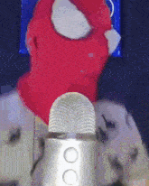 a person wearing a red balaclava is talking into a microphone .