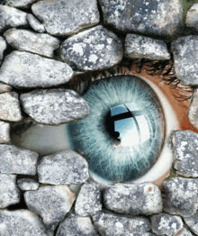 a close up of a blue eye behind a wall of rocks