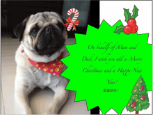 a christmas card with a picture of a pug and the words " on behalf of mom and dad "