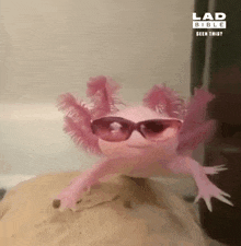 a pink axolotl is wearing sunglasses and walking on a rock .