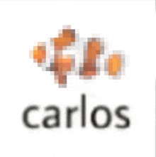 a pixelated image of a clown fish and the word carlos