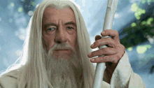 a man with long white hair and a beard holds a wand