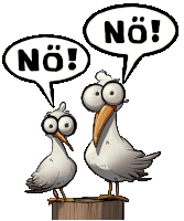 a cartoon of two seagulls with speech bubbles saying no