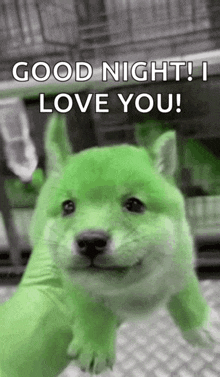 a green dog is being held by a person and says `` good night ! i love you '' .