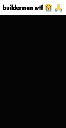 a screenshot of a video game with a builderman wtf message