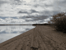 a dog standing on a sandy beach next to a lake